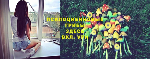 гашиш Приозерск